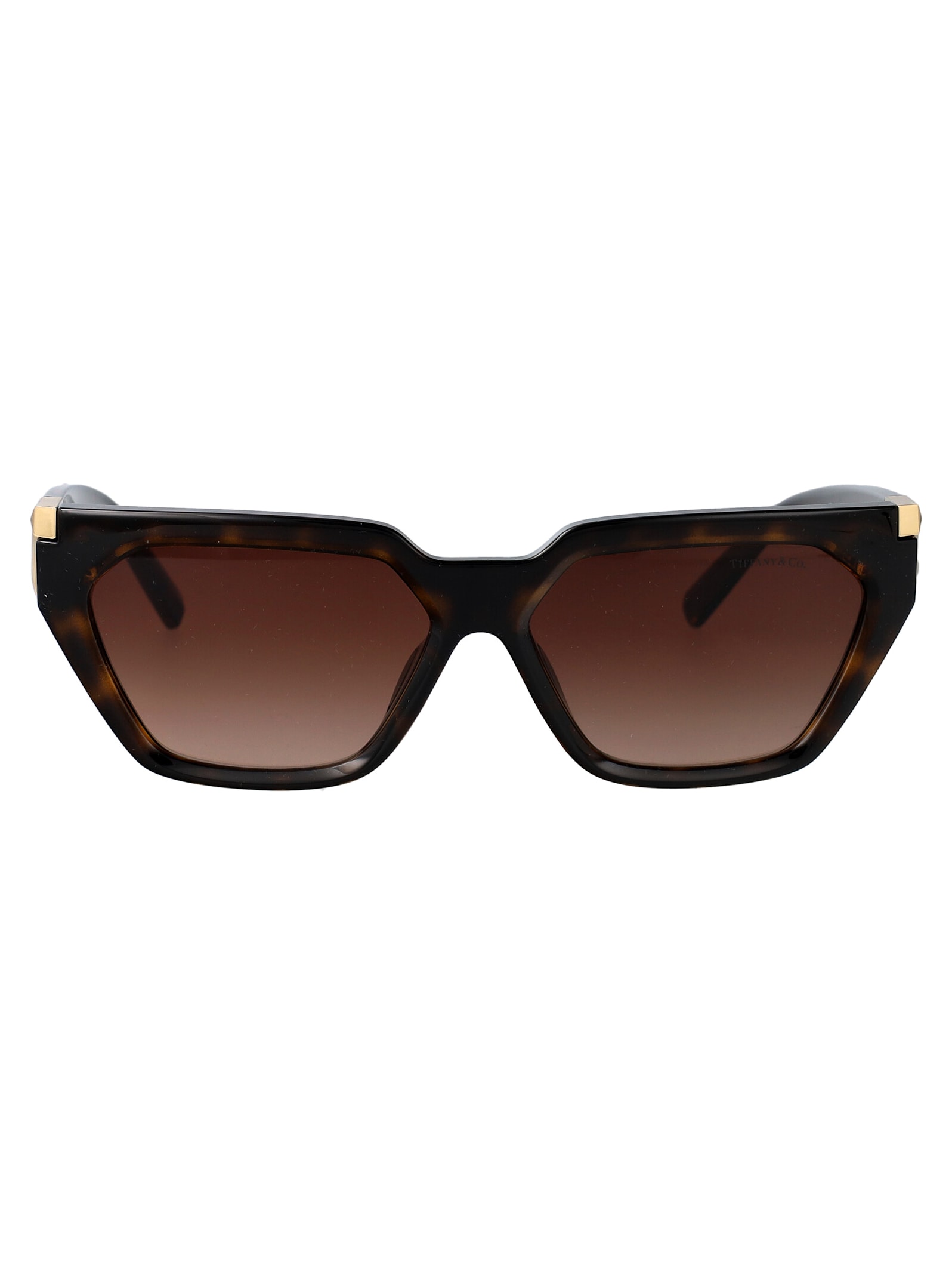 0tf4205u Sunglasses