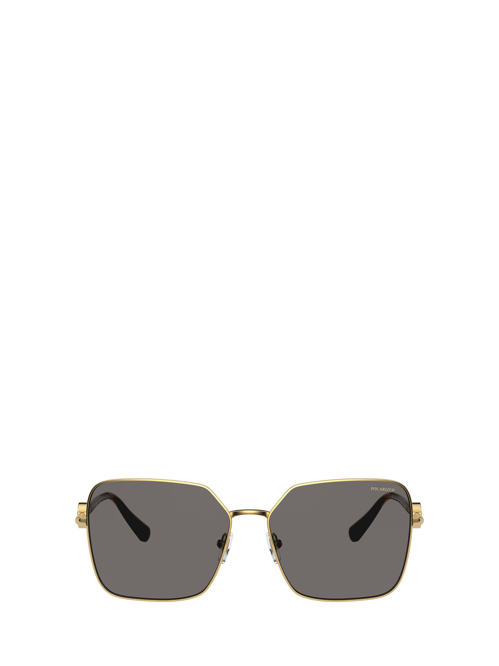 Versace Eyewear Versace Ve2227 Gold Sunglasses
