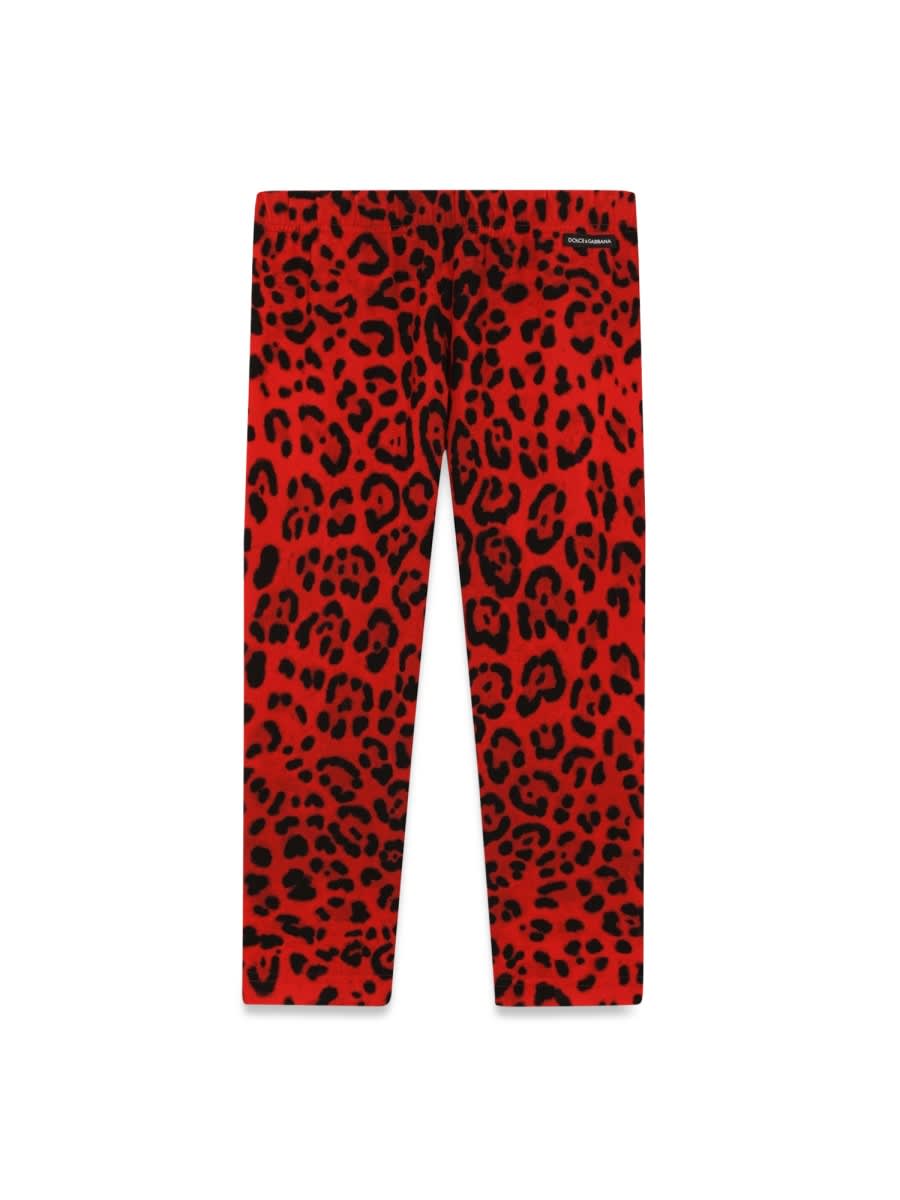 Shop Dolce & Gabbana Leggings In Animalier