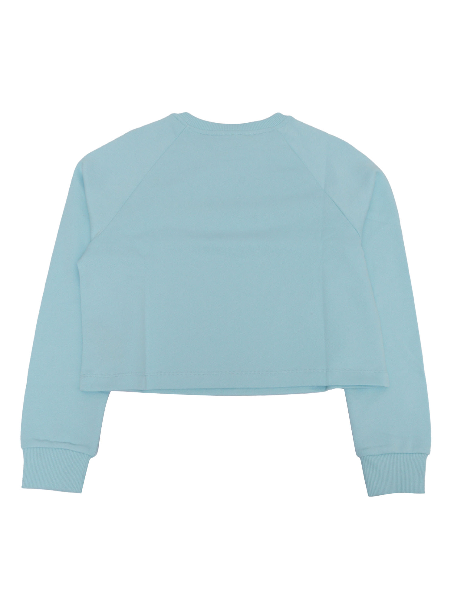 Balmain Sweatshirt In Blue