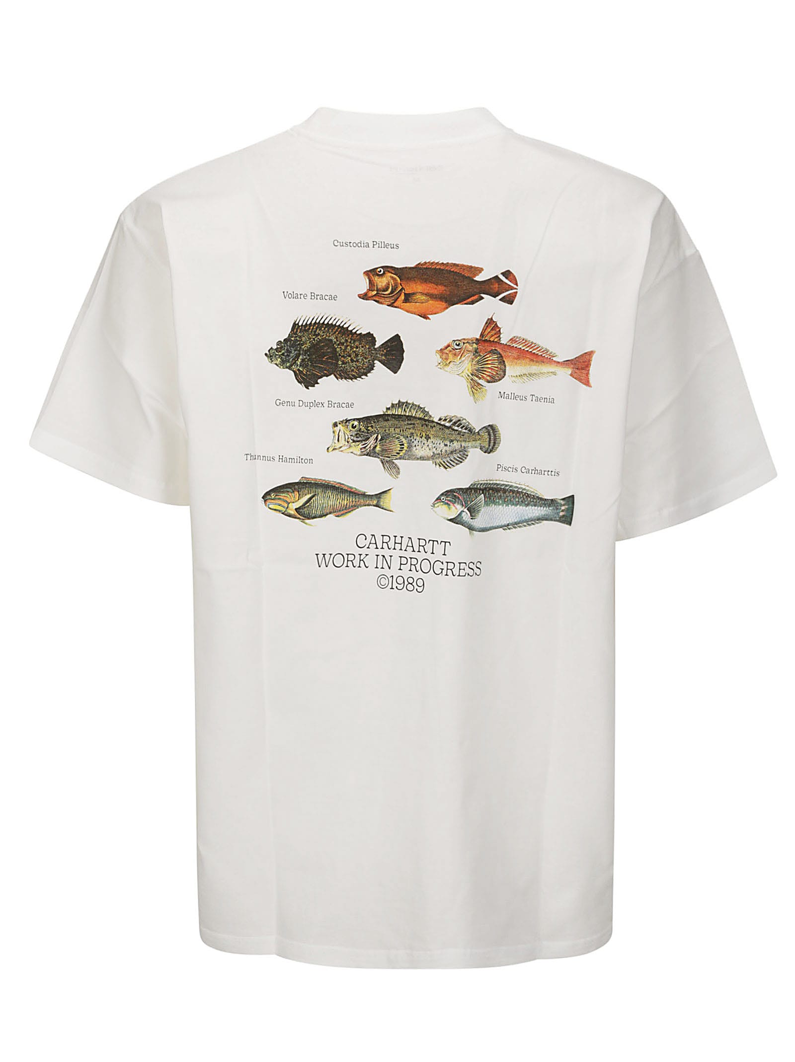 Shop Carhartt S/s Fish T-shirt Organic Cotton Single Jersey In White