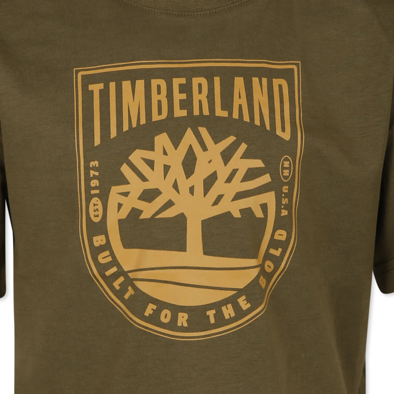 Shop Timberland Green T-shirt For Boy With Logo