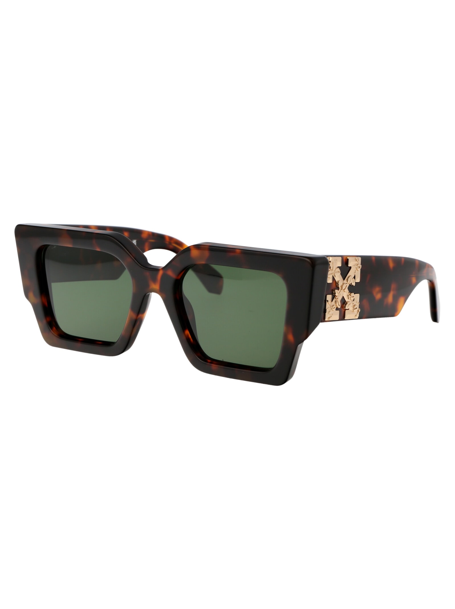 Off-white Eyewear Catalina Sunglasses In 6055 Havana