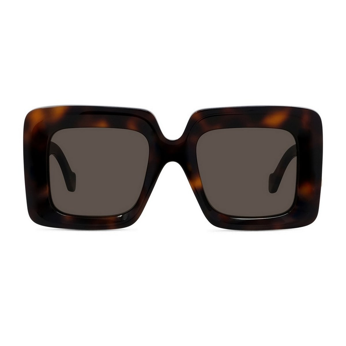 Loewe Lw40176u Anagram 52e Havana Sunglasses In Brown