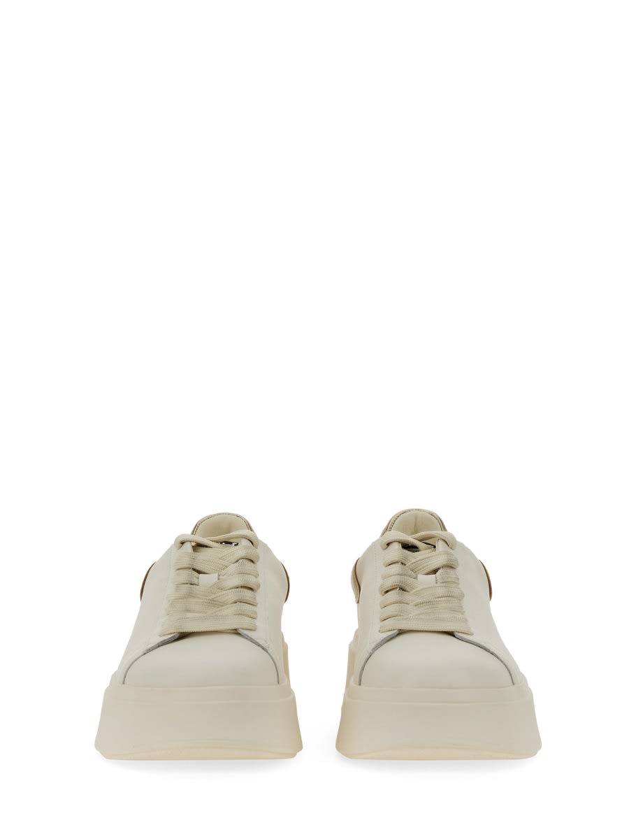 Shop Ash Moby 02 Sneaker In White