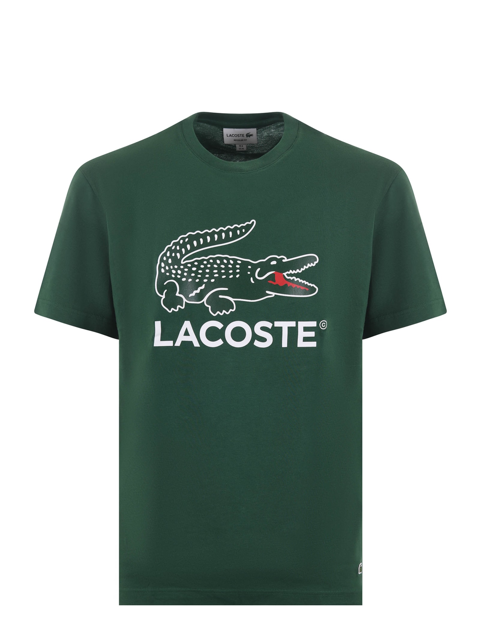 Shop Lacoste Cotton T-shirt In Verde Inglese