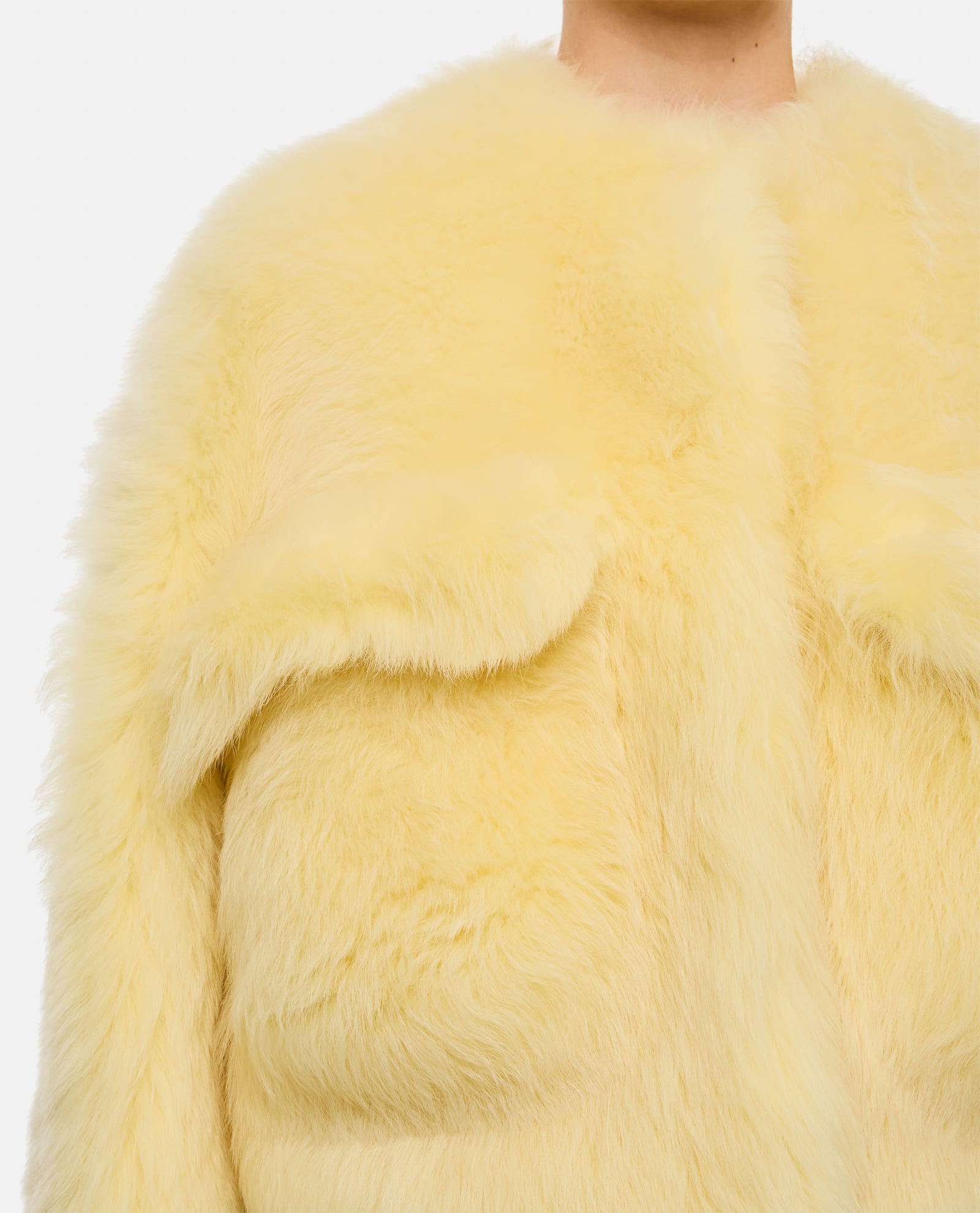 Shop Bottega Veneta Short Shearling Jacket In Yellow