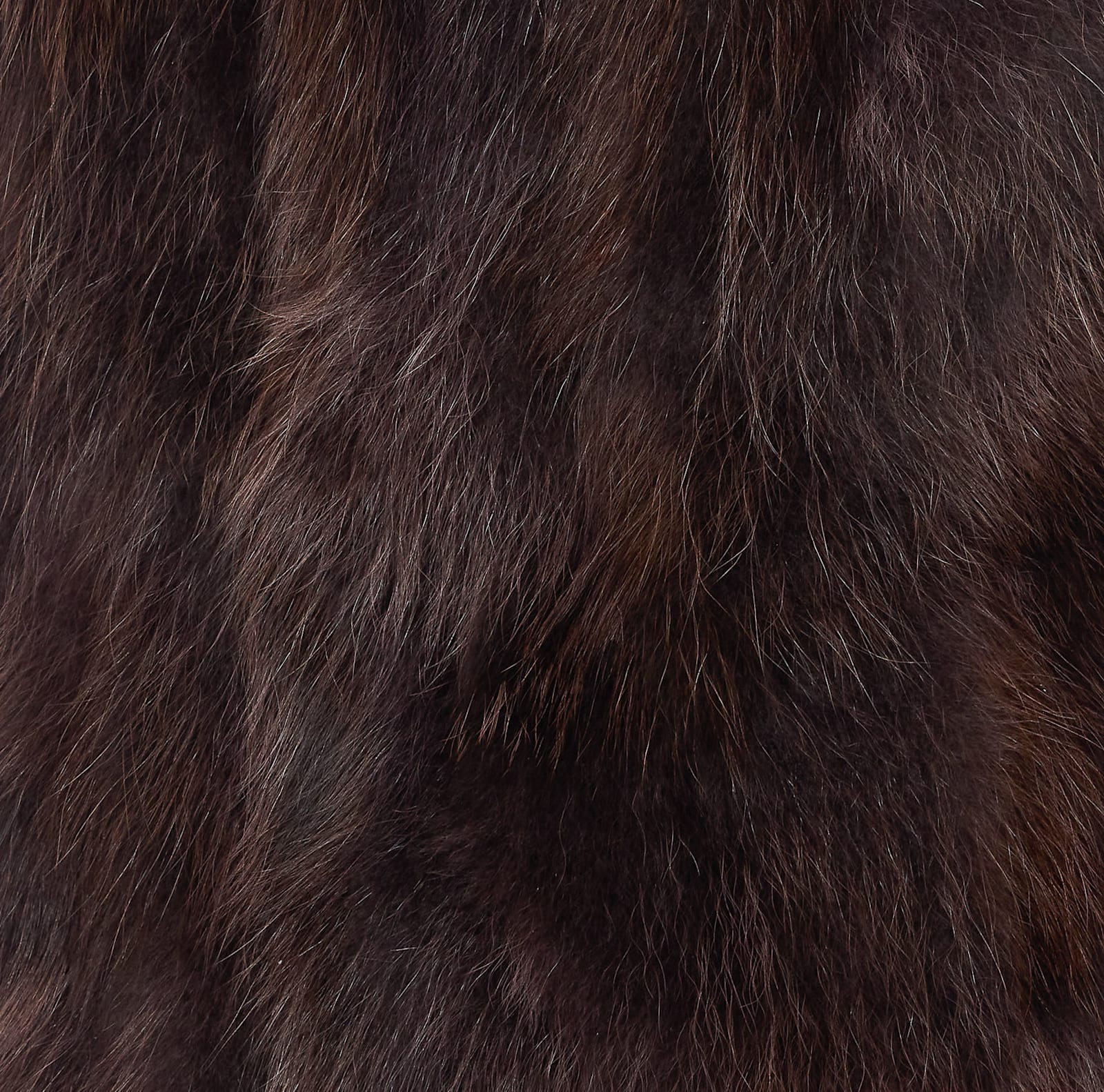 Bully Raccoon Cacao Fur Coat In Brown