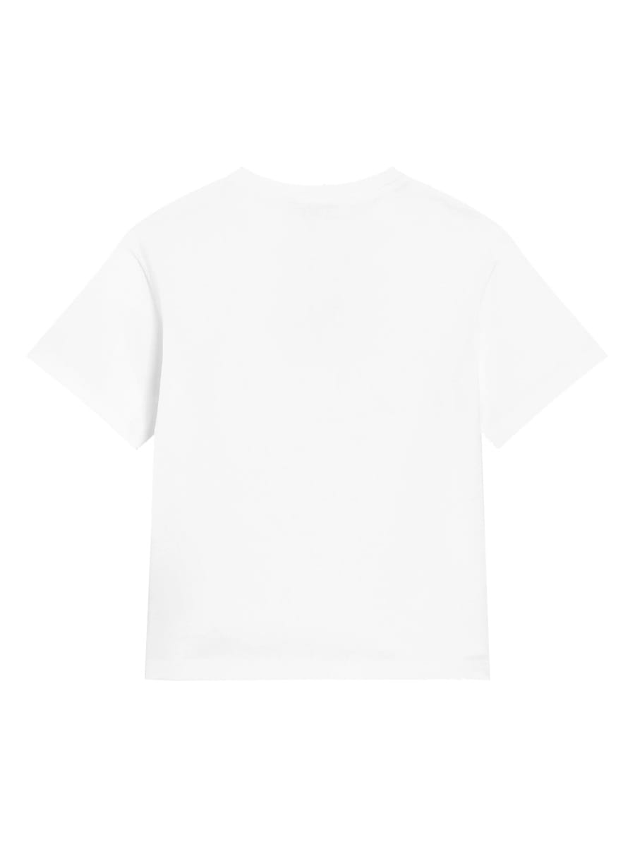 Dolce & Gabbana Dg Logo-print Jersey T-shirt In Multi