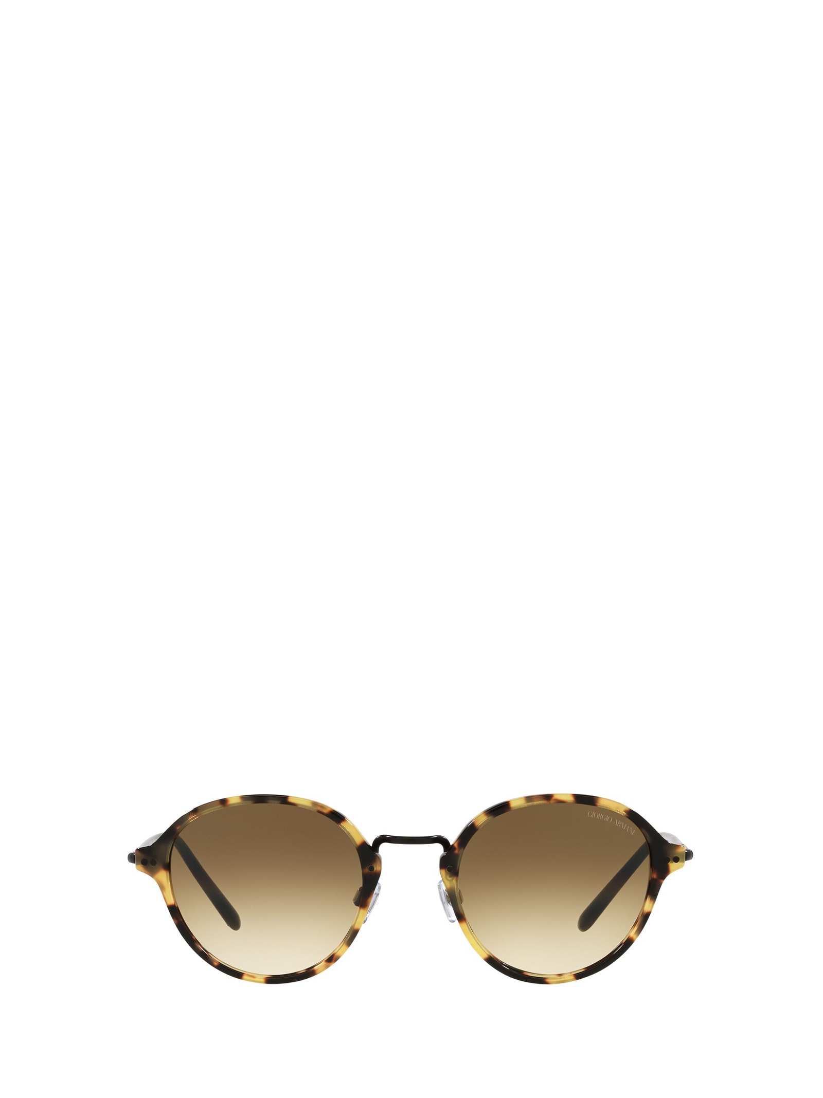 GIORGIO ARMANI AR8139 HAVANA SUNGLASSES