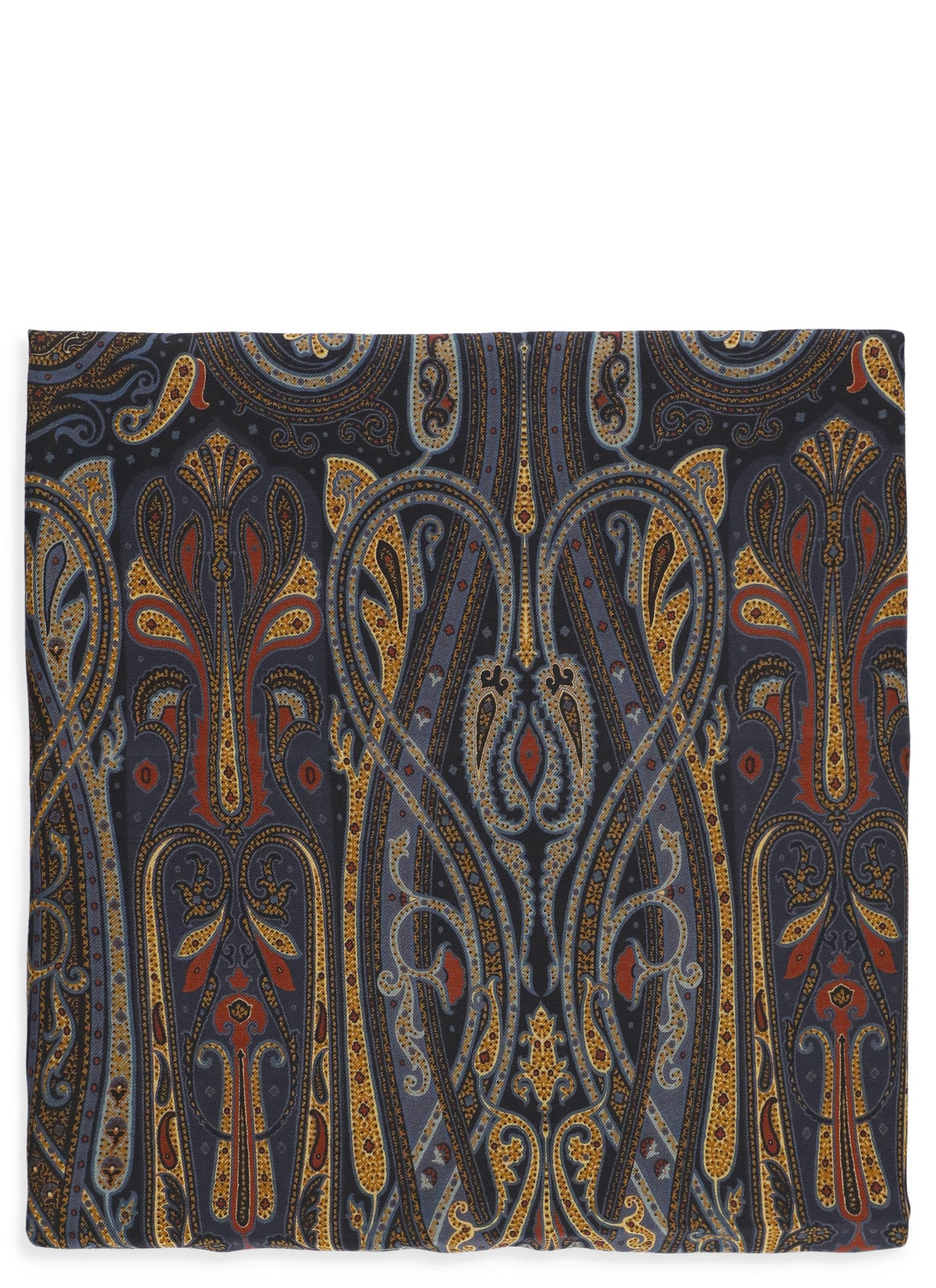 Shop Etro Shawl With Paisley Print In Multicolour