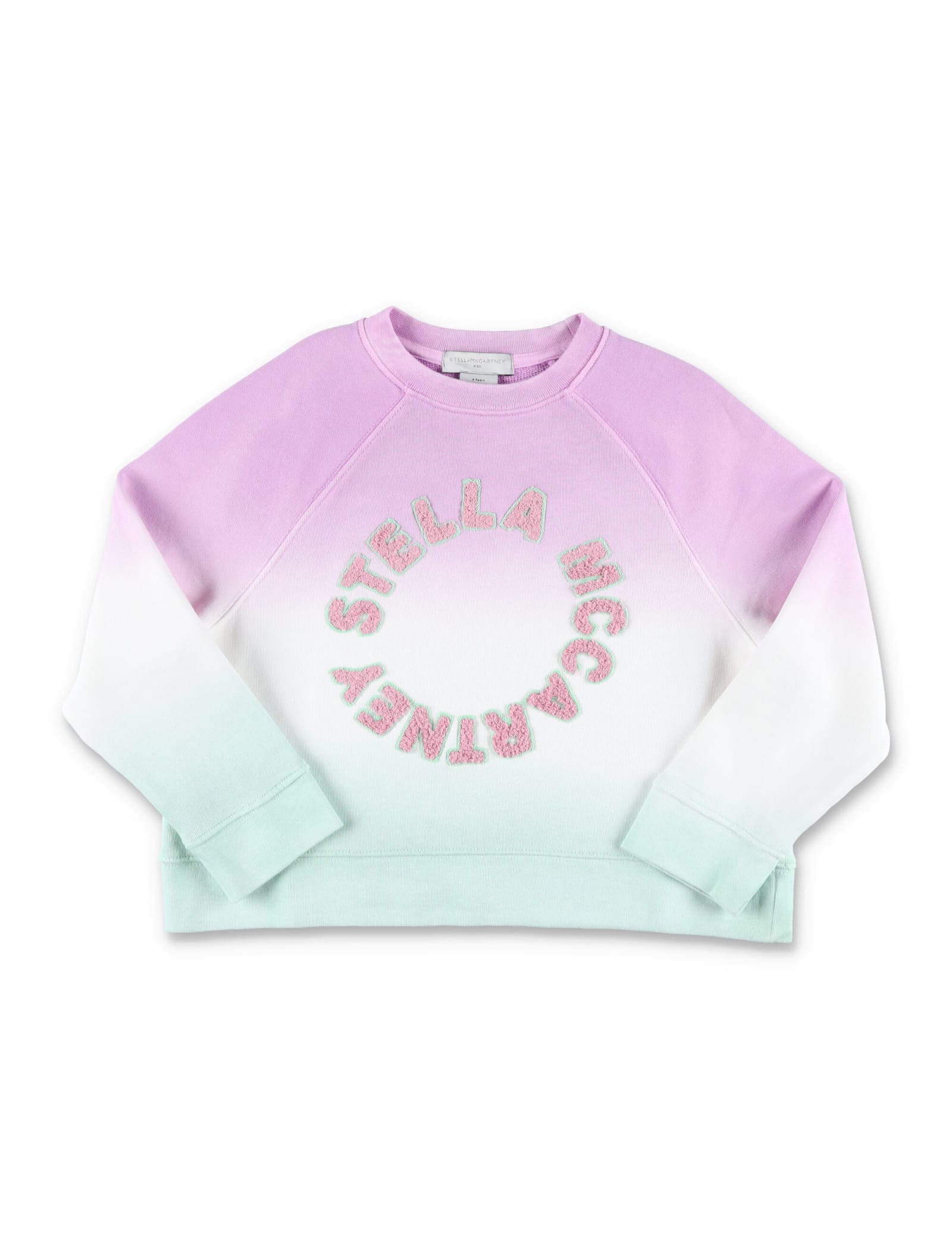 Shop Stella Mccartney Medallion Logo Sweatshirt In Multicolor
