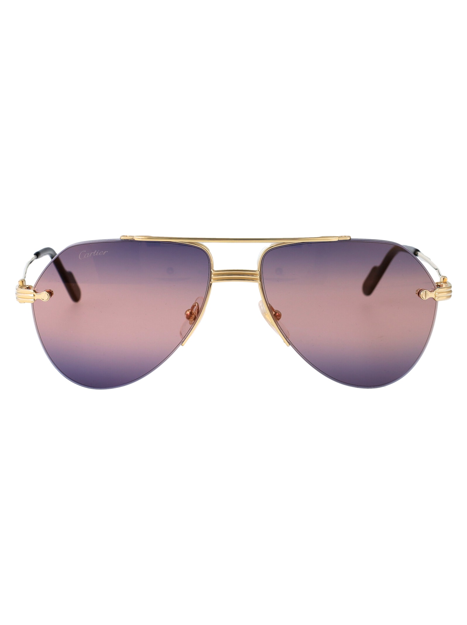 Ct0427s Sunglasses