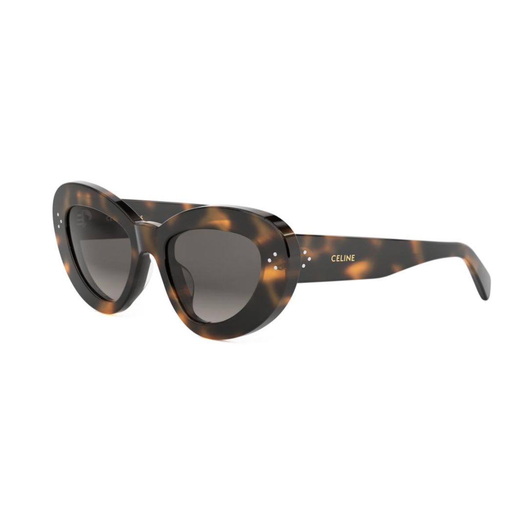 Celine Cl40320u52f In Multi