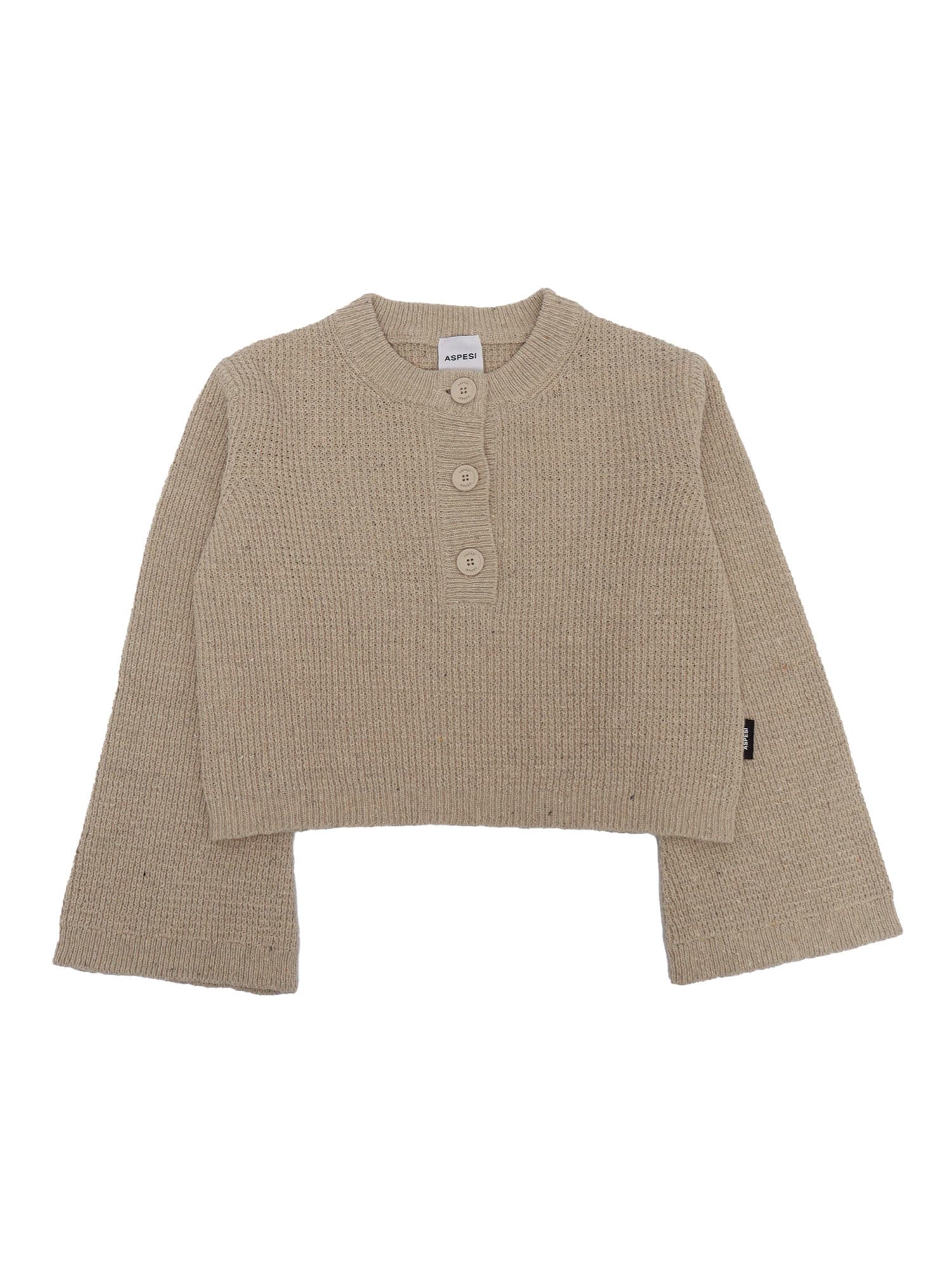 Shop Aspesi Sweater In Brown