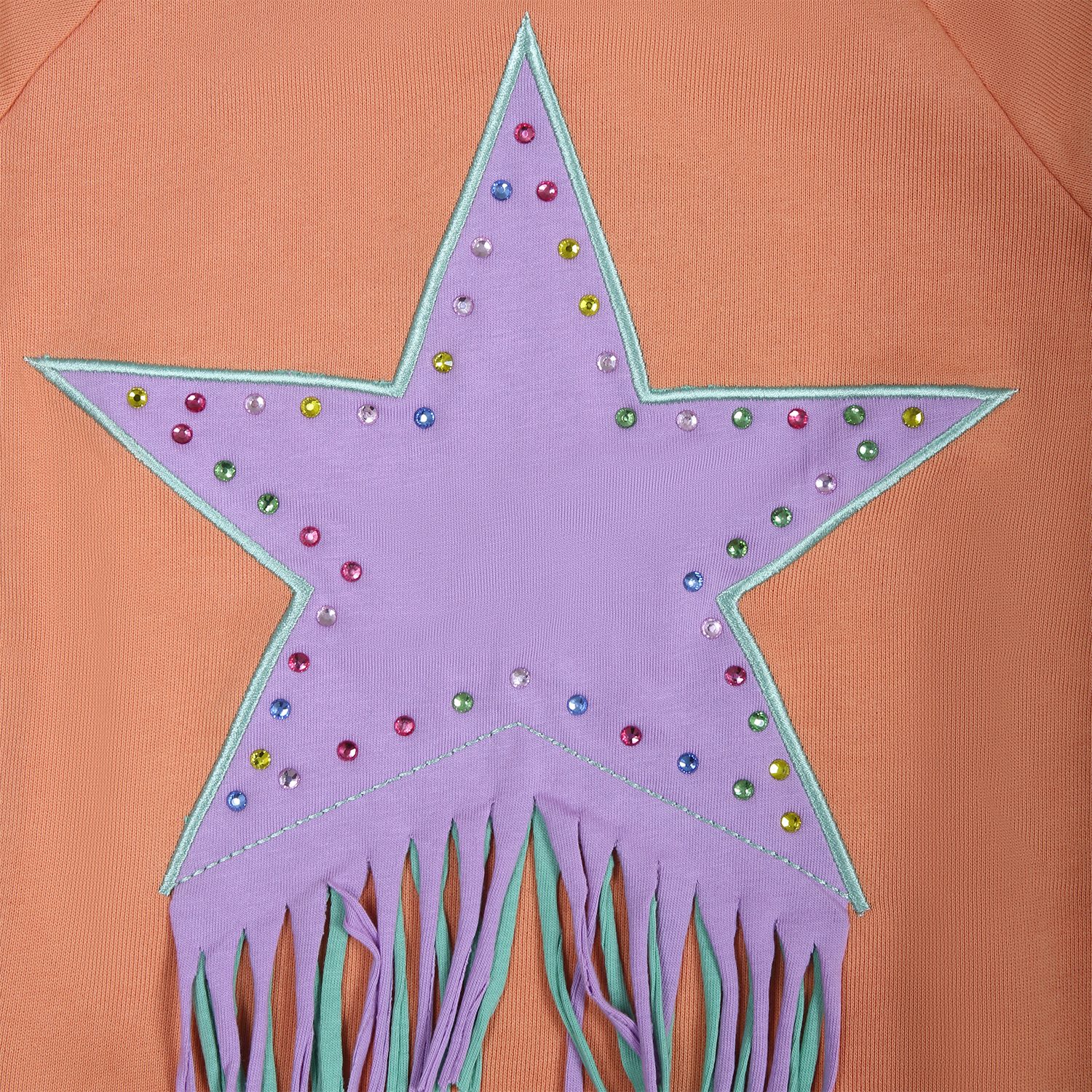 Shop Stella Mccartney Orange Sweatshirt For Girl With Star