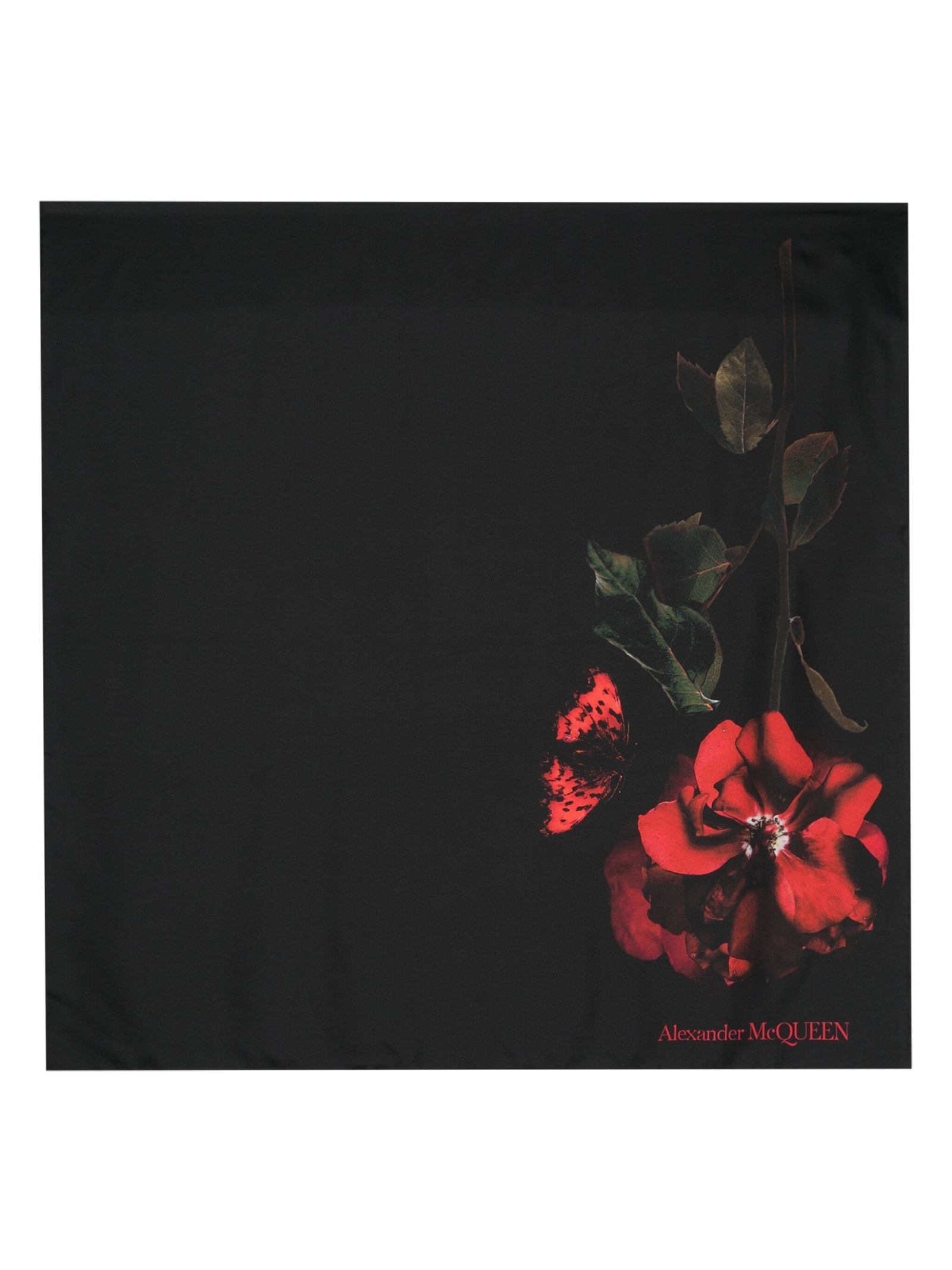 Shop Alexander Mcqueen Black Silk Scarf With Red Rose Print