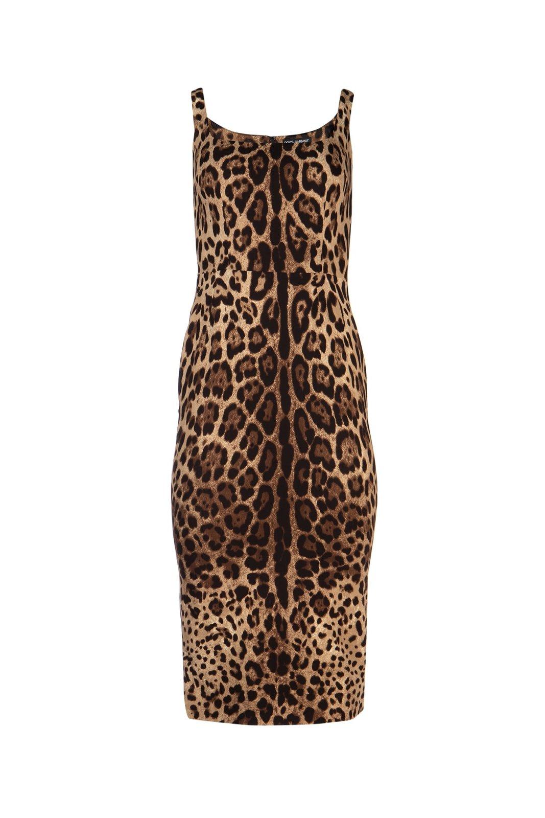 Shop Dolce & Gabbana Leopard Print Fitted Midi Dress In Leo New