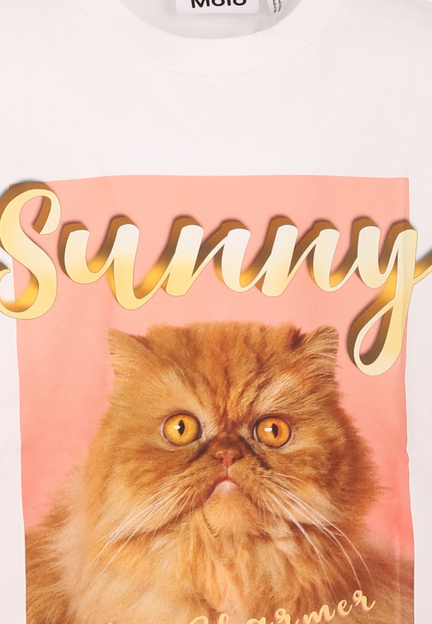 Molo White T-shirt For Kids With Cat In White