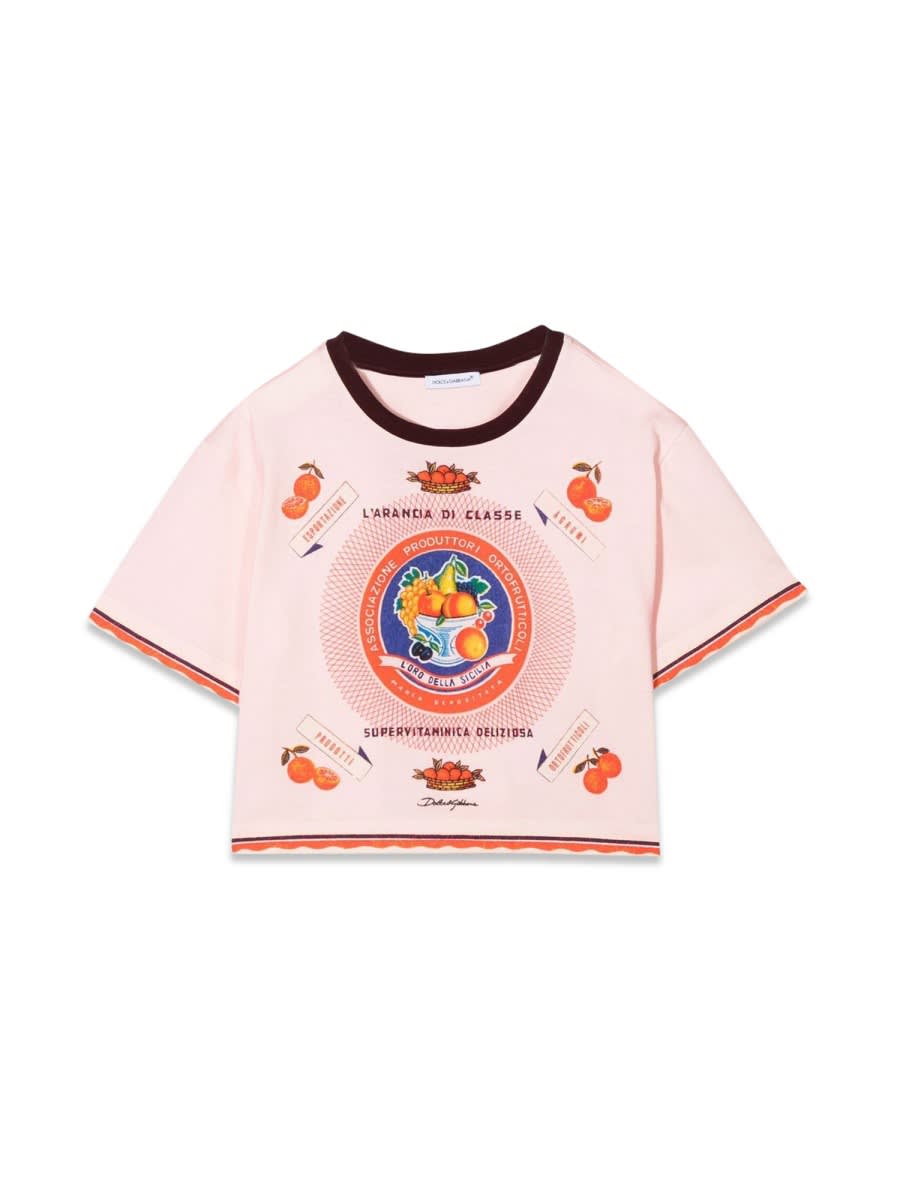 Shop Dolce & Gabbana Classy Orange T-shirt In Pink