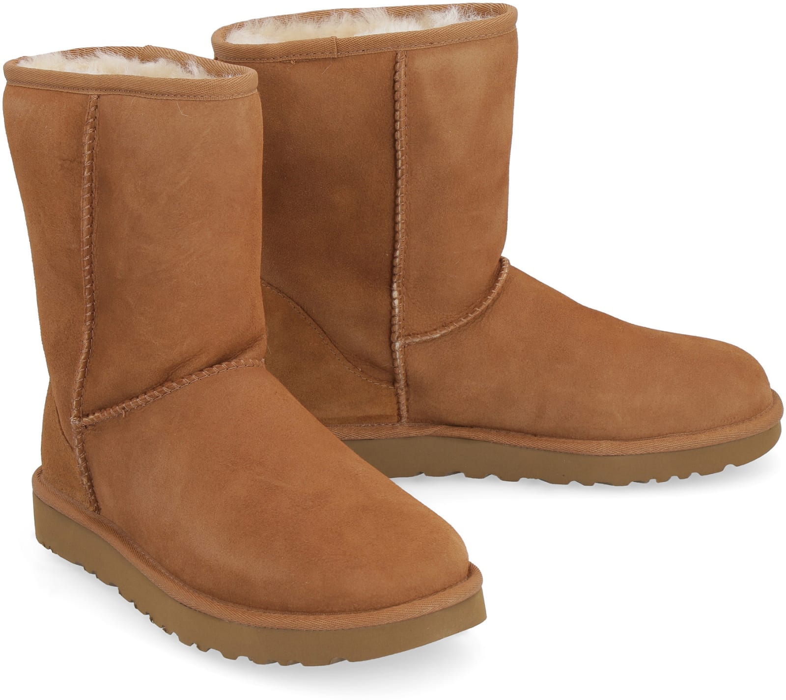 camel uggs short