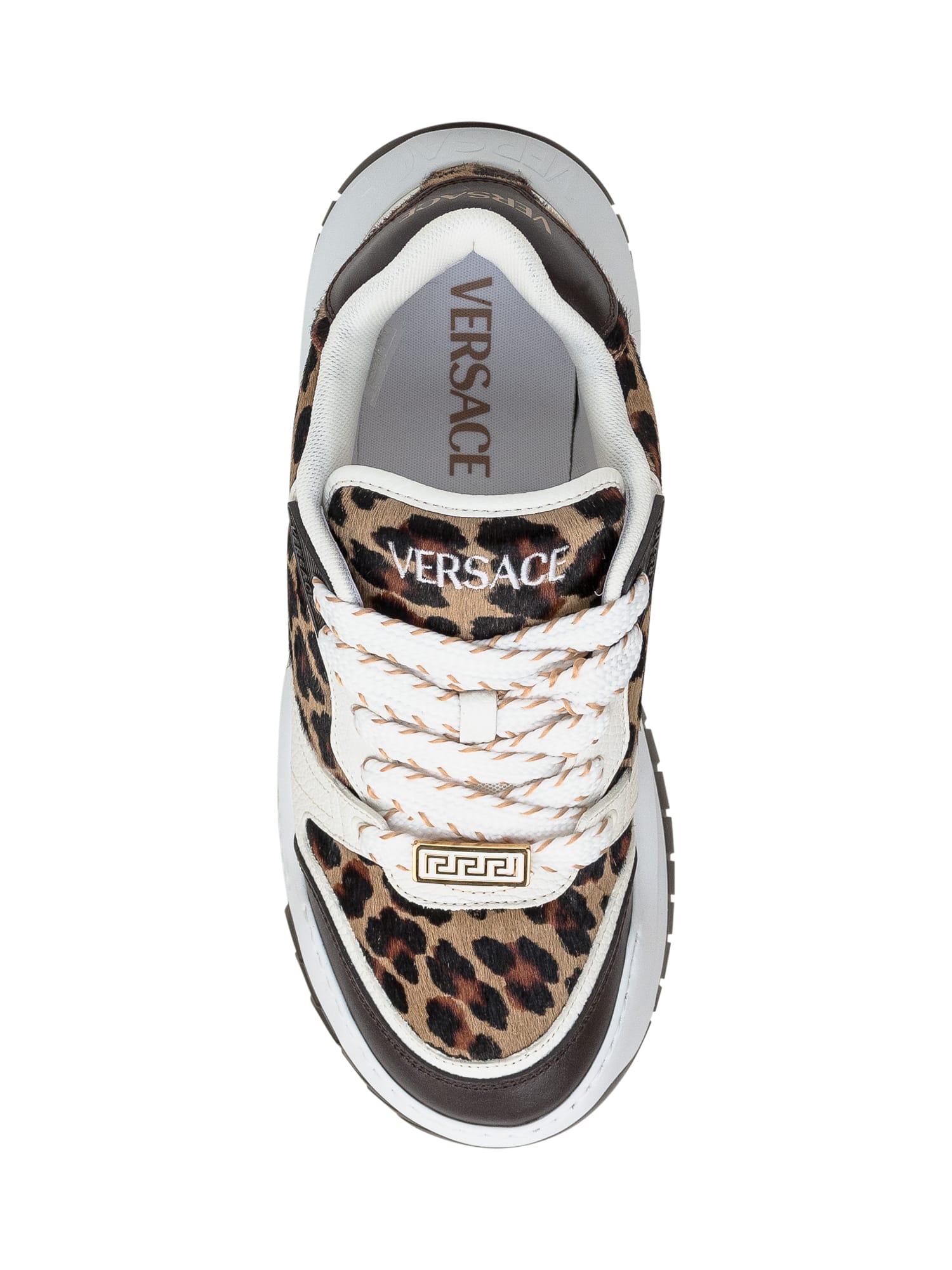 Shop Versace Odissea Sneaker In Ebano-ivory- Gold