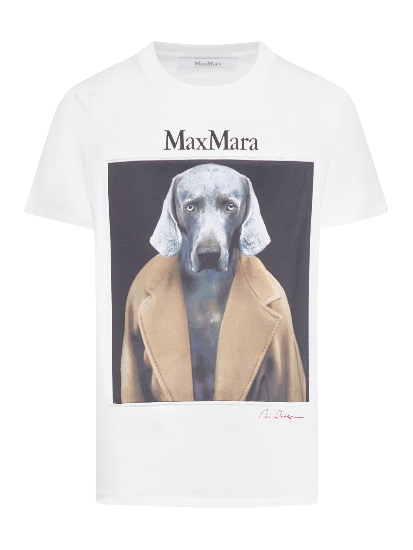 Shop Max Mara Cipria T-shirt In Camel