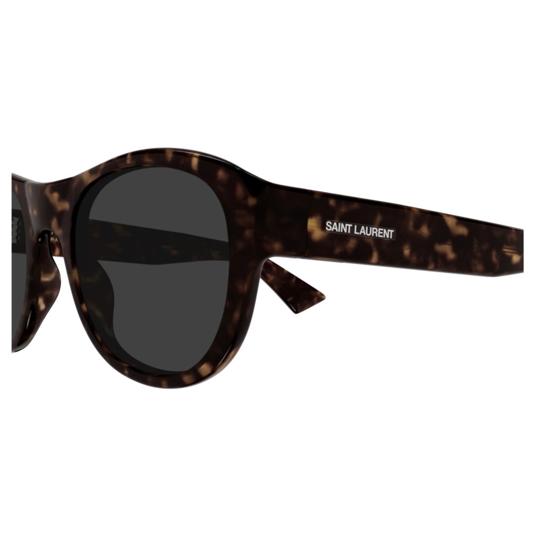 Saint Laurent Sl 798 Maxime002-havana-havana-grey In Brown