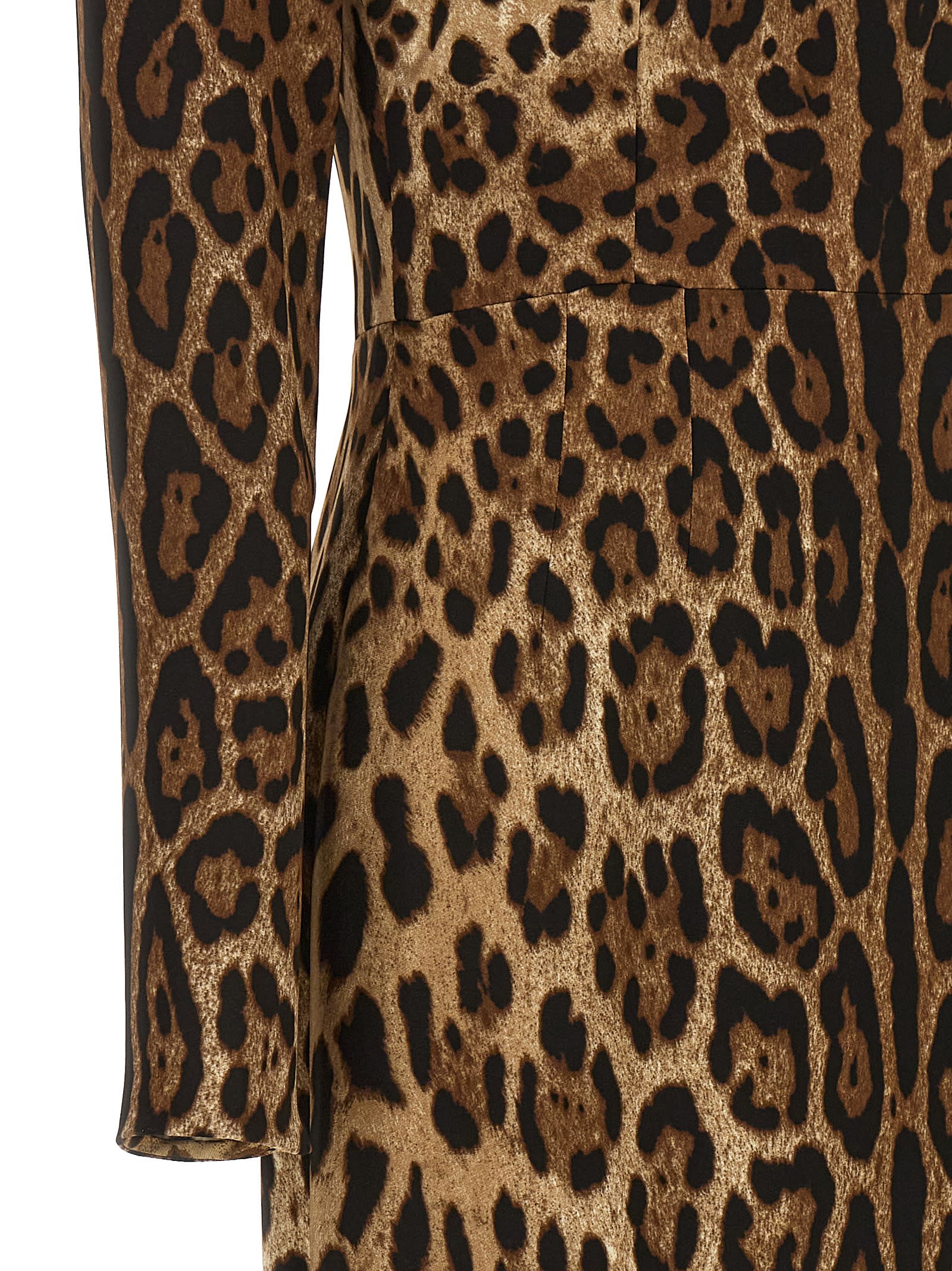 Shop Dolce & Gabbana Leopard Dress In Brown