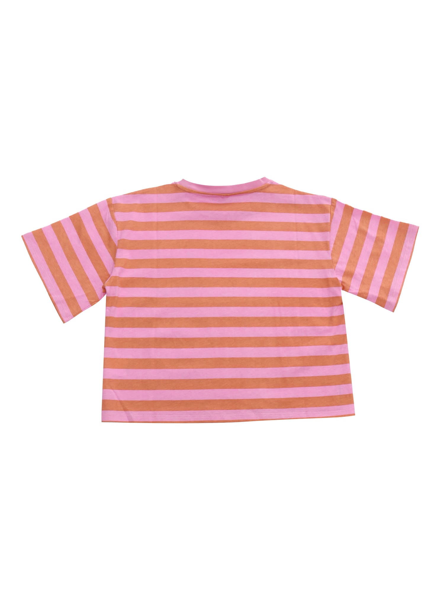 Shop Stella Mccartney Striped Pink Crop T-shirt