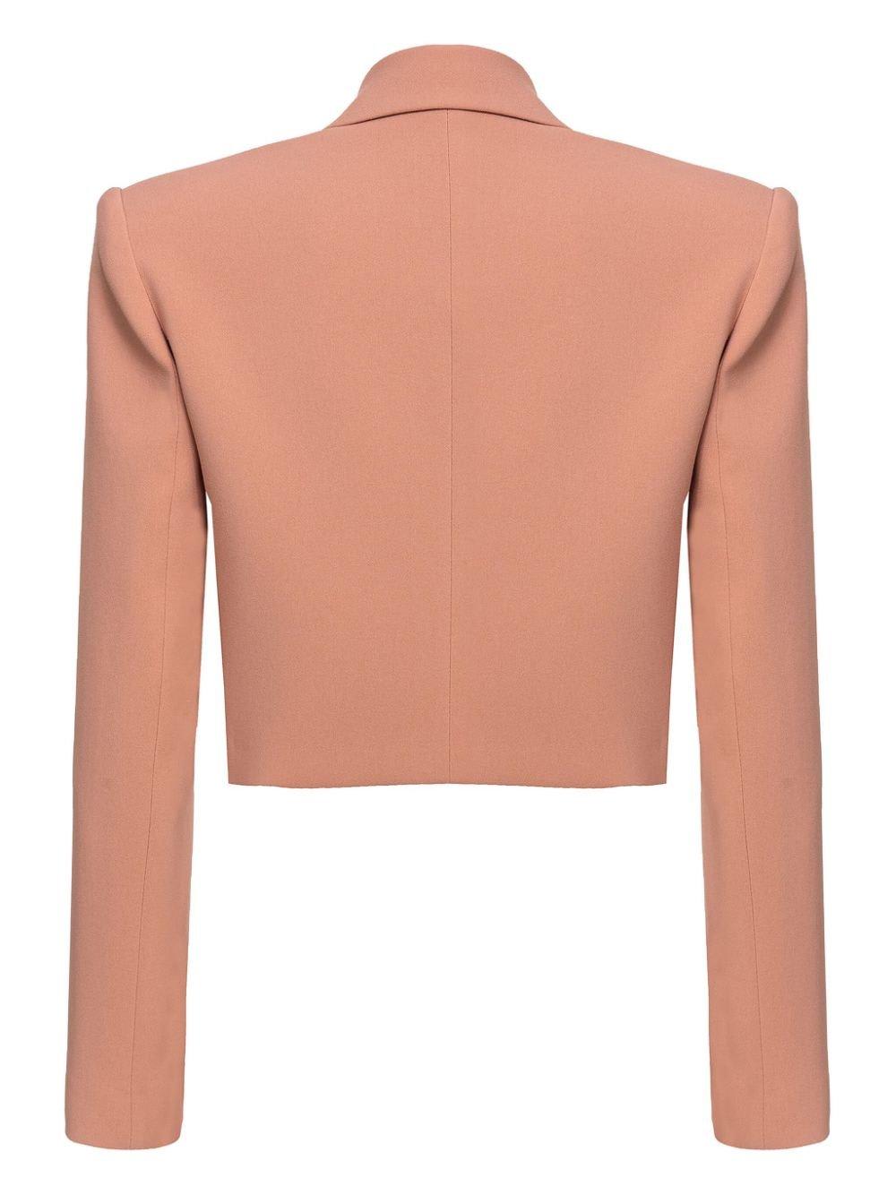 Shop Pinko Cropped Sleeved Blazer In Brown