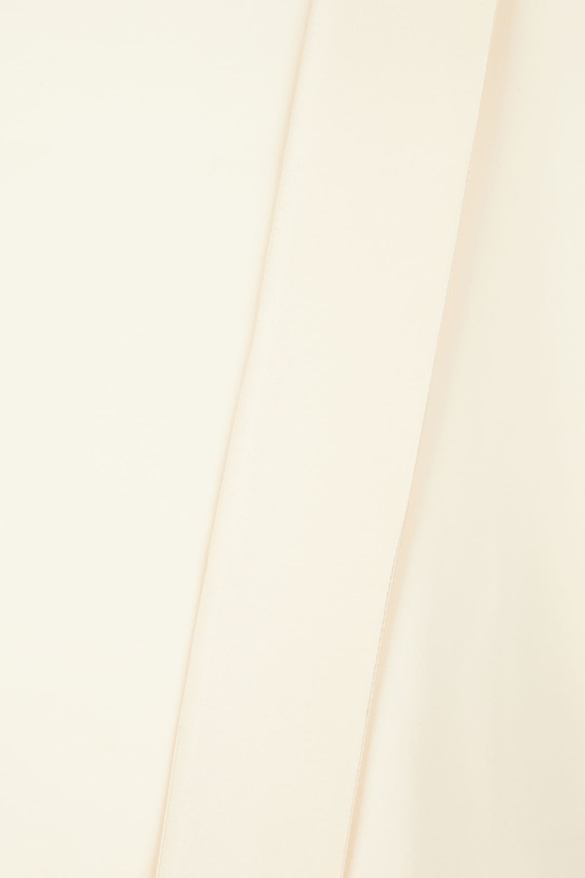Max Mara Long Sleeve Button-down Shirt In Albino