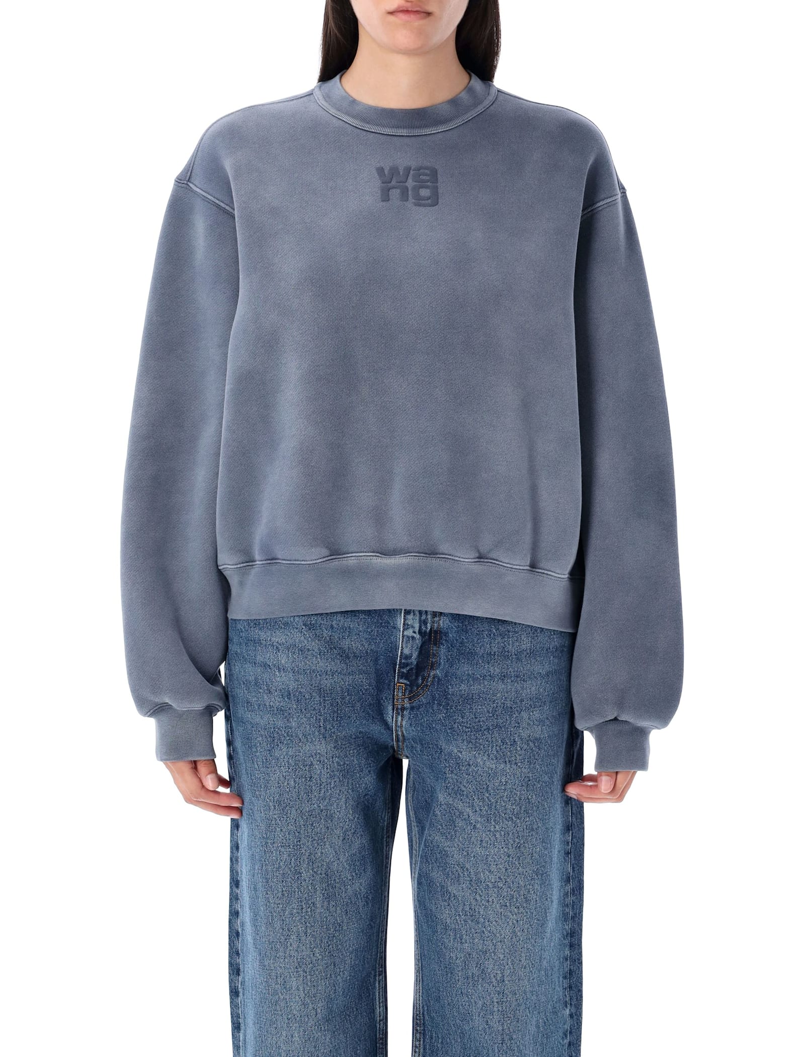 Alexander Wang T T By Alexander Wang Puff Logo Sweatshirt In Blue