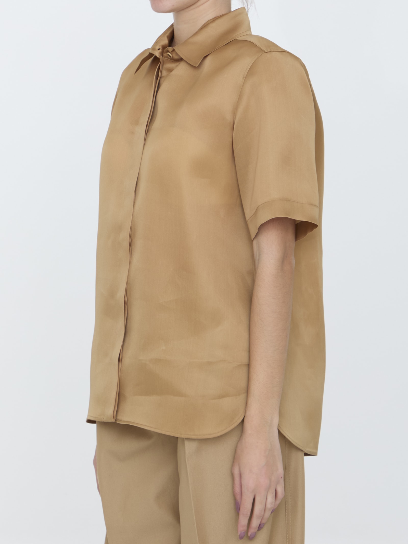 Shop Max Mara Acanto Shirt In Beige