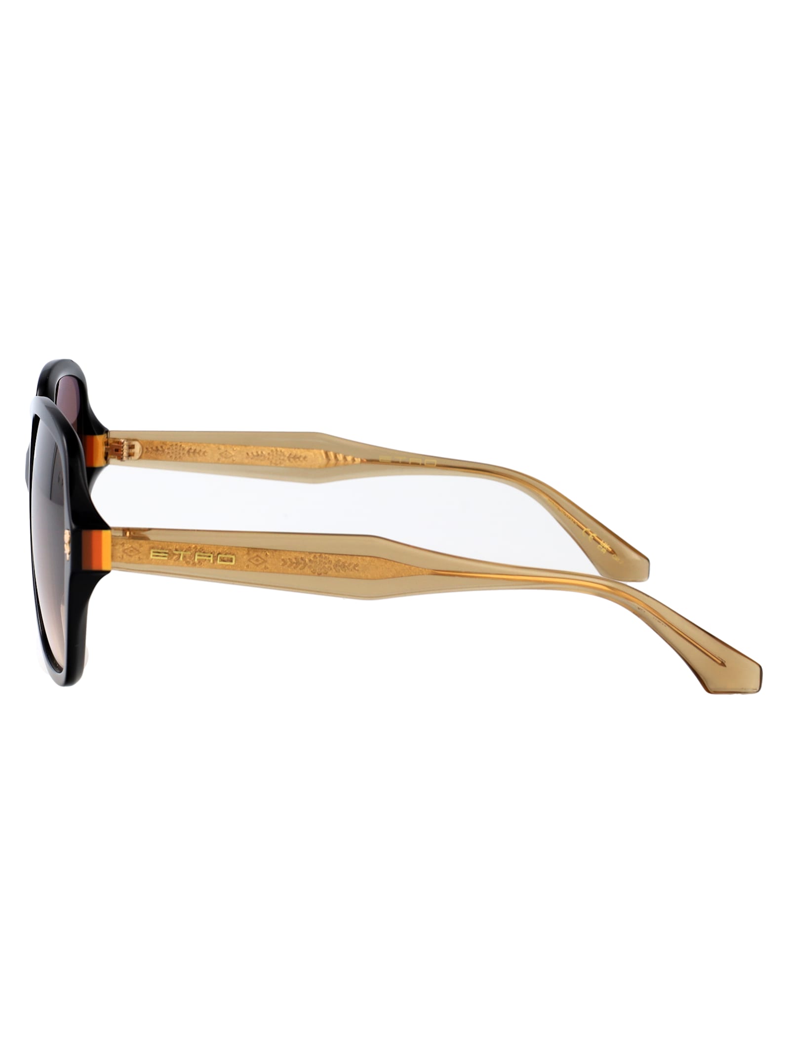 Etro Oversize-frame Sunglasses In Multi