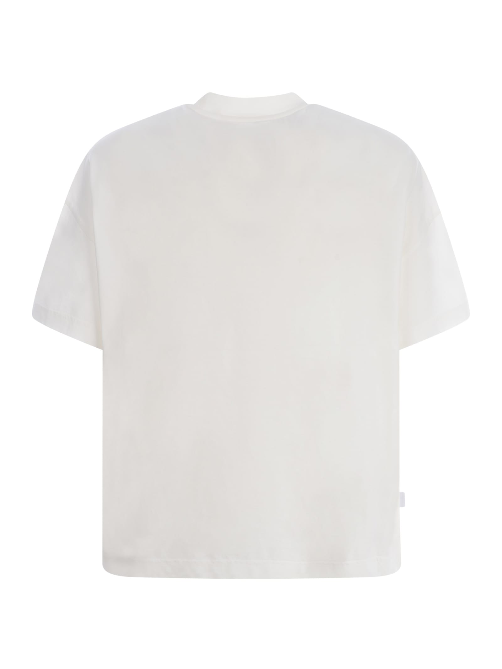 Shop Bonsai T-shirt  Saibon In Cotton In Bianco
