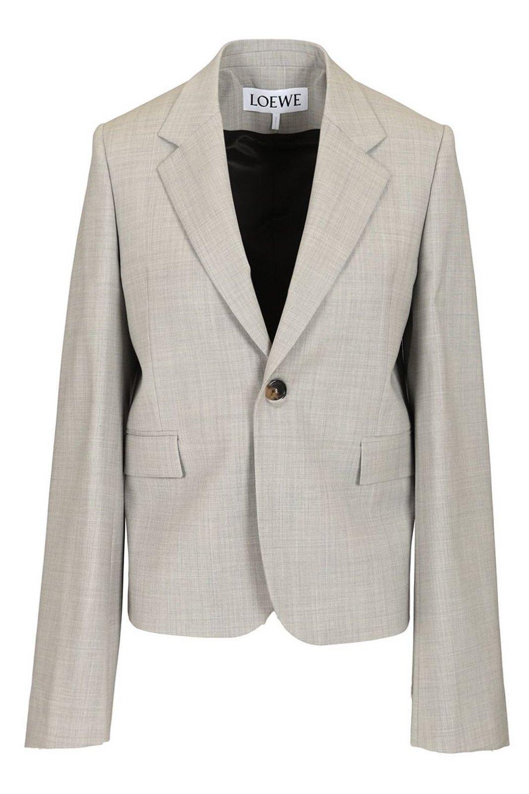 Loewe Single-breasted Jacket With Wide Sleeves In Gray